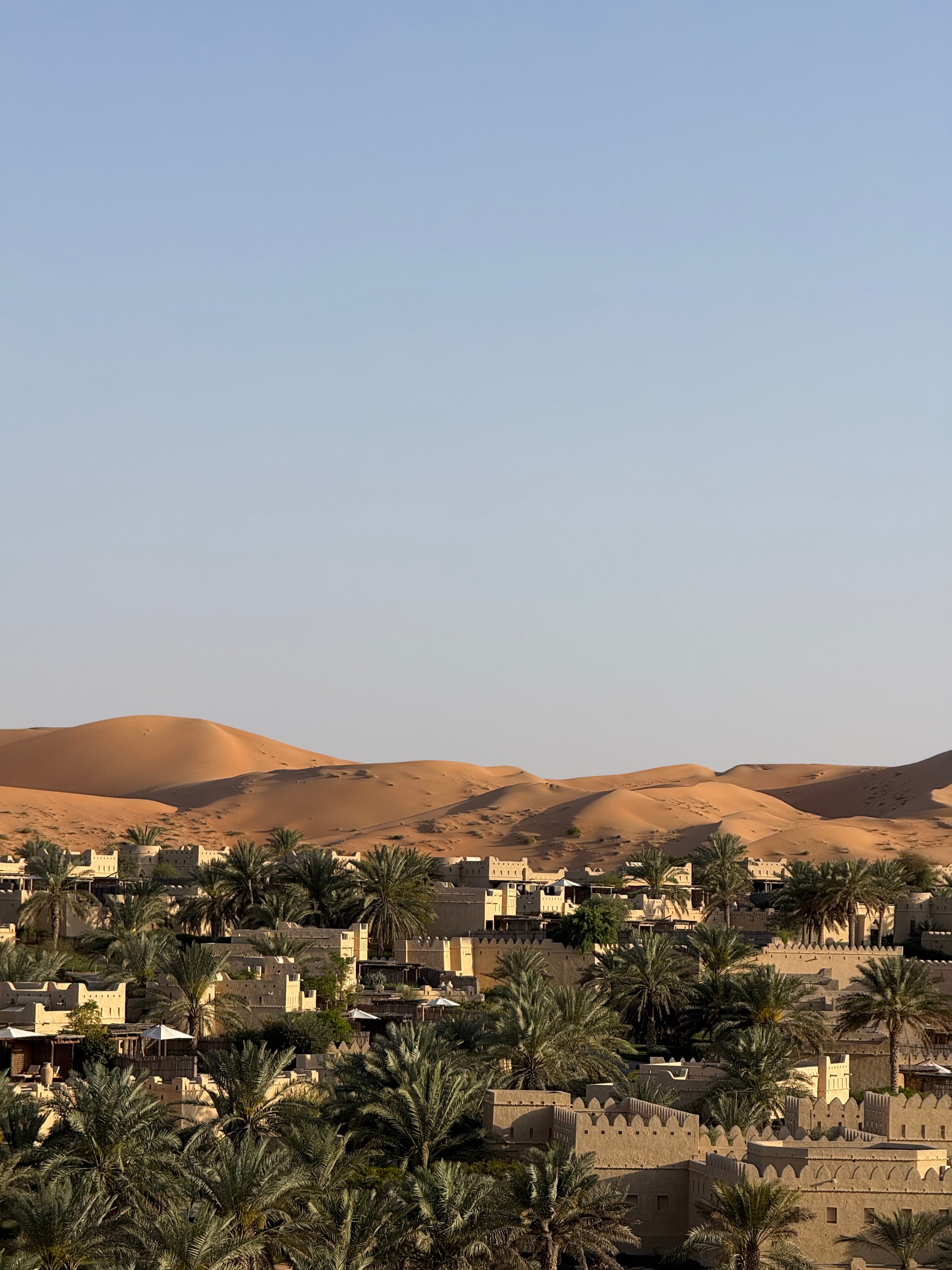 Expertise in Hotel Consultancy